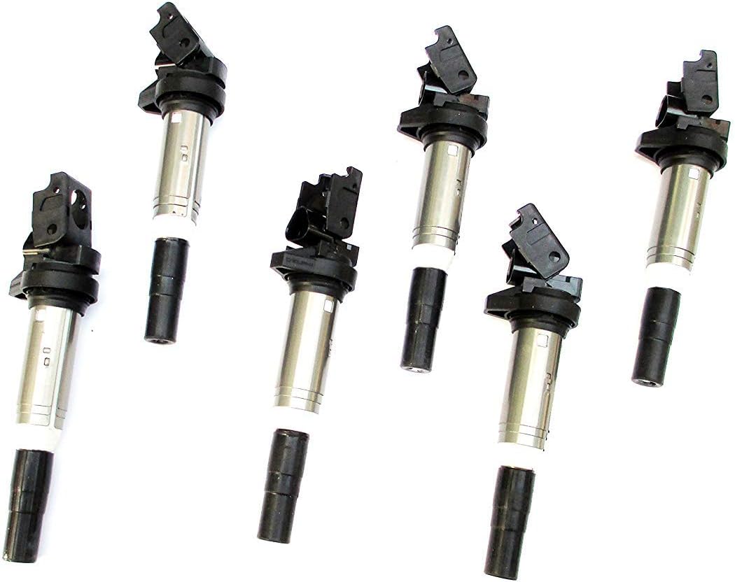 Delphi Ignition Coil 6 Pack